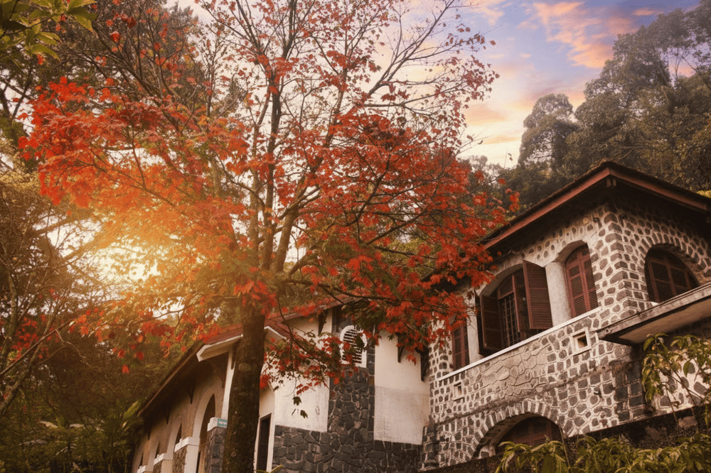 The abandoned French colonial villas scattered throughout Bach Ma tell the story of the park's unique history as a hill station retreat